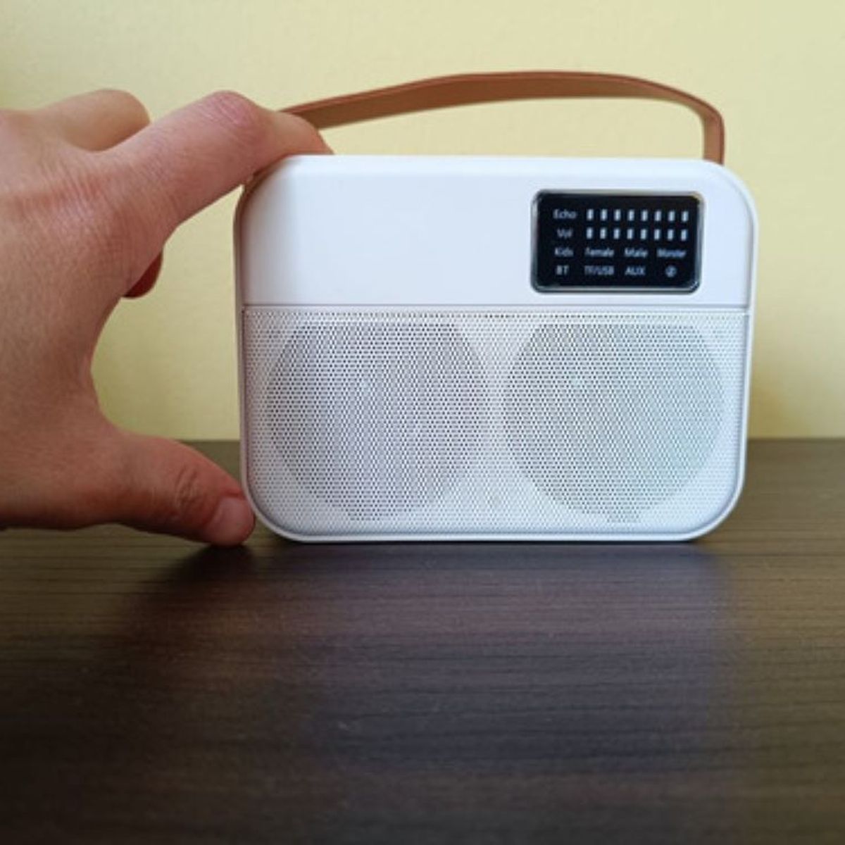 GENERICO - Parlantes Bluetooth Portátil Karaoke Mini Inalambrico