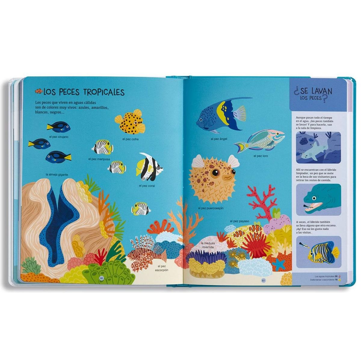 EDELVIVES - Biblioteca para mentes curiosas - Animales marinos