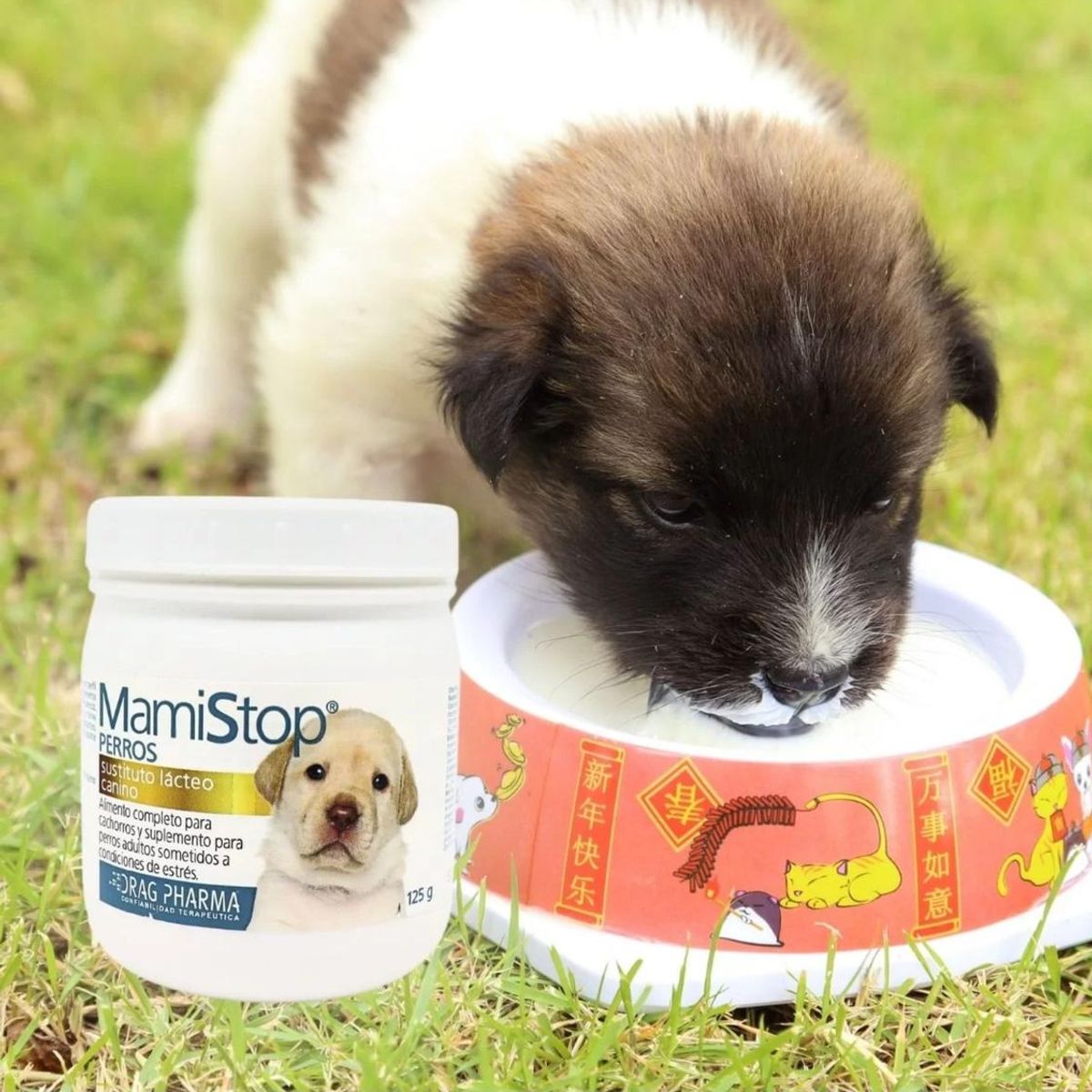 DRAG PHARMA - Alimento Leche para perro Cachorro Mami Stop 125Gr