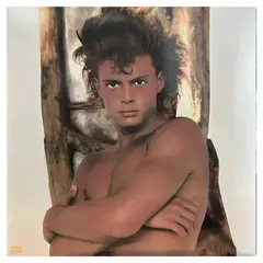 WARNER MUSIC - Luis Miguel - Busca Una Mujer - Vinilo Nuevo