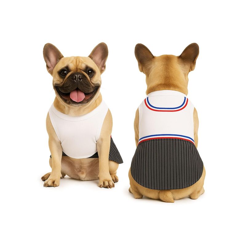 GENERICO - Traje de Huaso Chileno Talla XL Para Perros Medianos