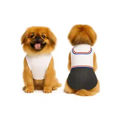 GENERICO - Traje de Huaso Chileno Talla M Para Perros Medianos