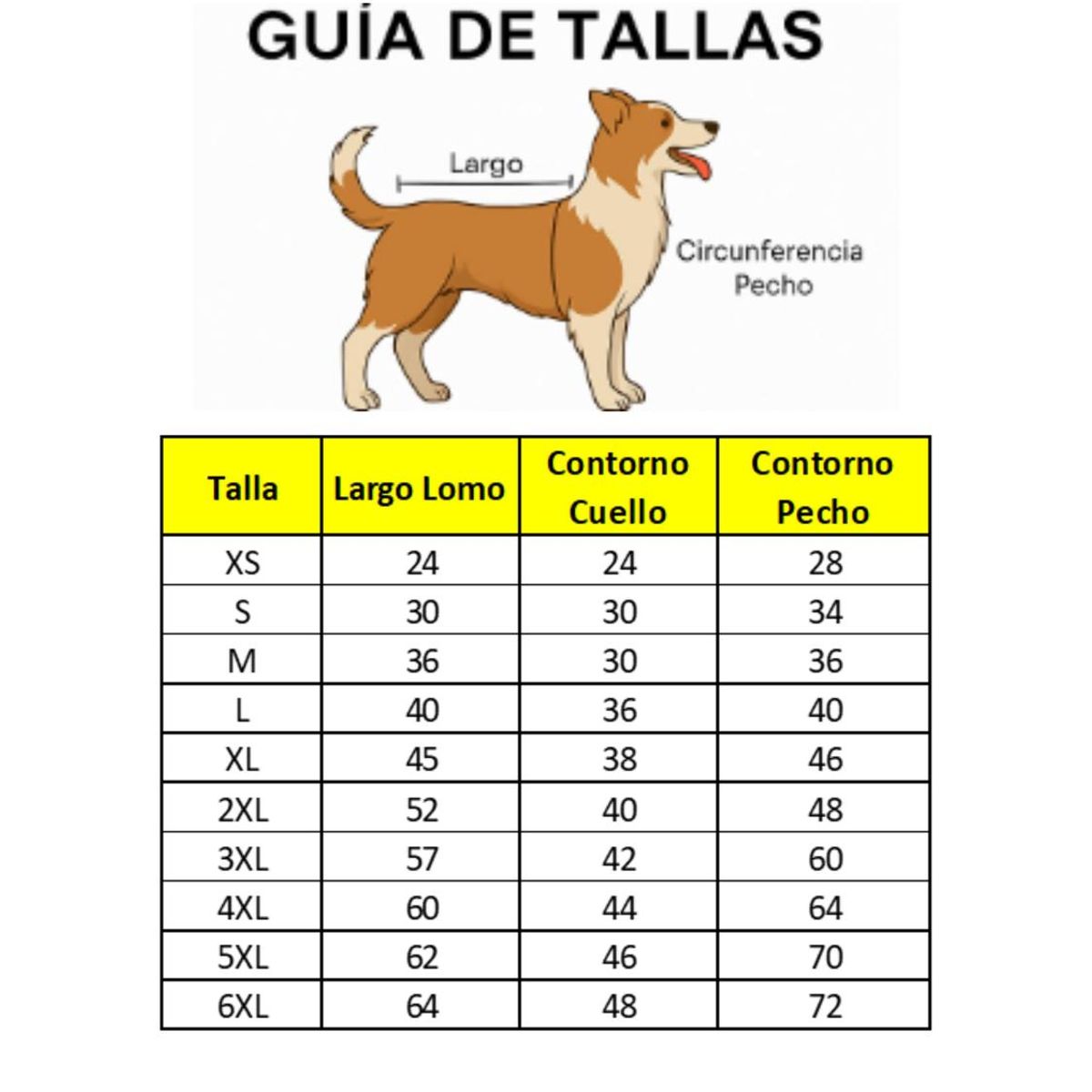 GENERICO - Traje de Huaso Chileno Talla M Para Perros Medianos