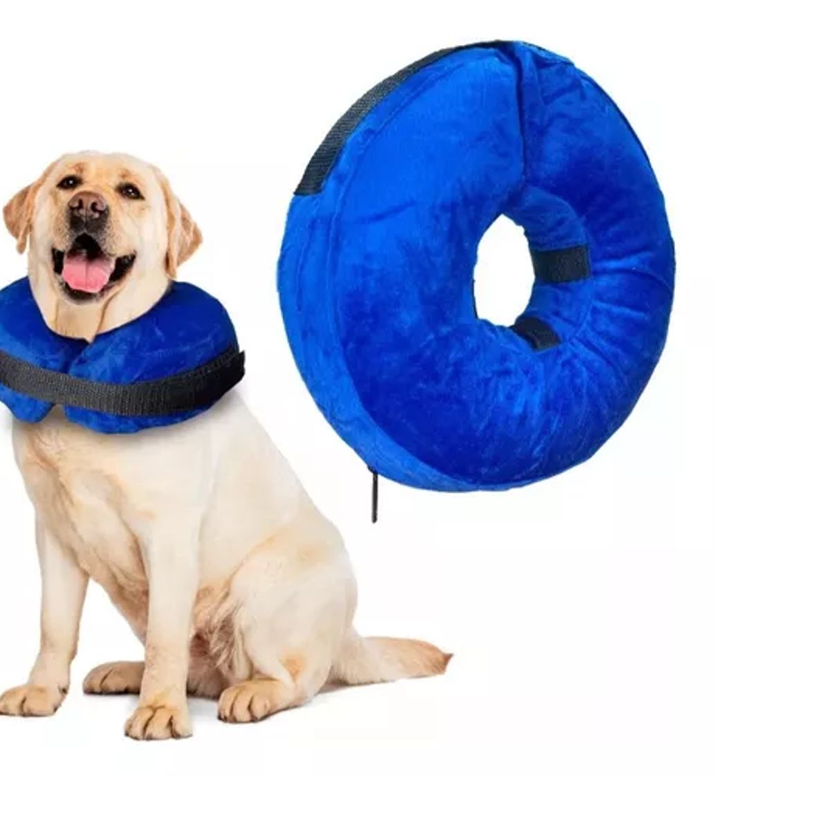 GENERICO - Collar Inflable Anti-mordidas Elizabeth Para Perros Y Gatos