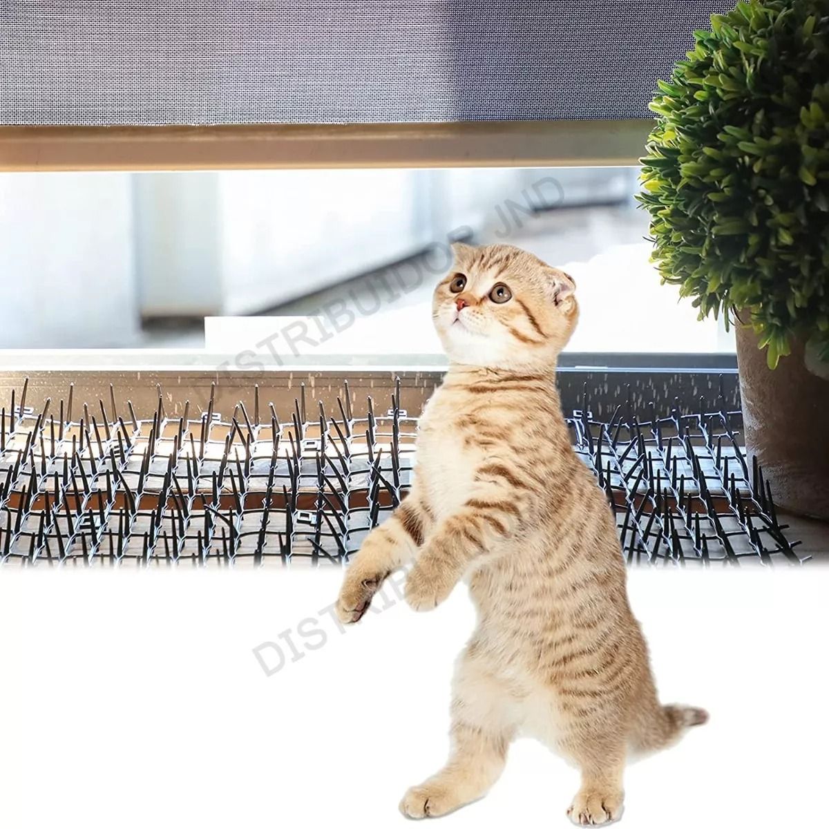 TATEE - Anti mascota Spikes-Malla plástico Para Mascotas 2 Metros