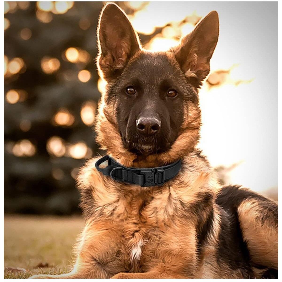 TATEE - Collar ajustable para mascotas Negro XL perros