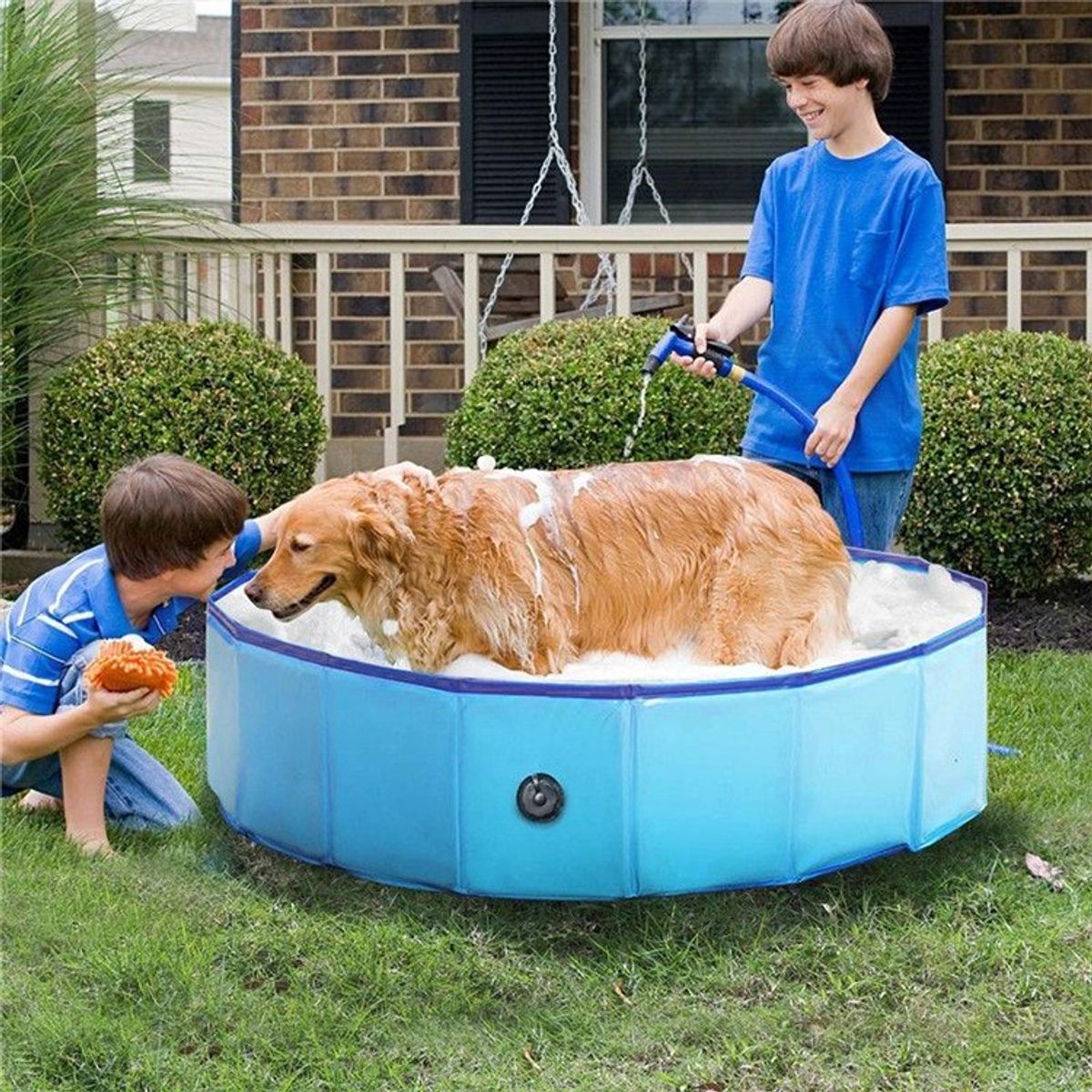 TATEE - Piscina Plegable Para Mascotas 160x30cm azul