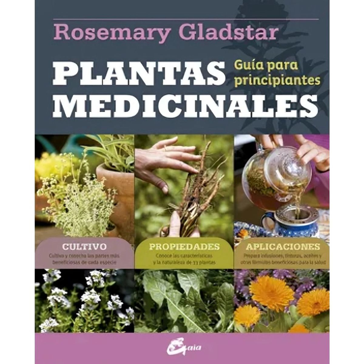 TOP10BOOKS - LIBRO Plantas Medicinales Guia Para Principiantes