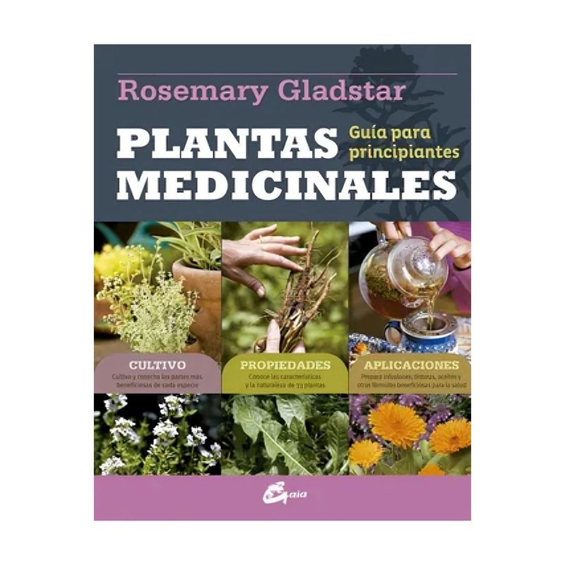 TOP10BOOKS - LIBRO PLANTAS MEDICINALES GUIA PARA PRINCIPIANTES / ROSEMARY GLADSTAR / GAIA ED
