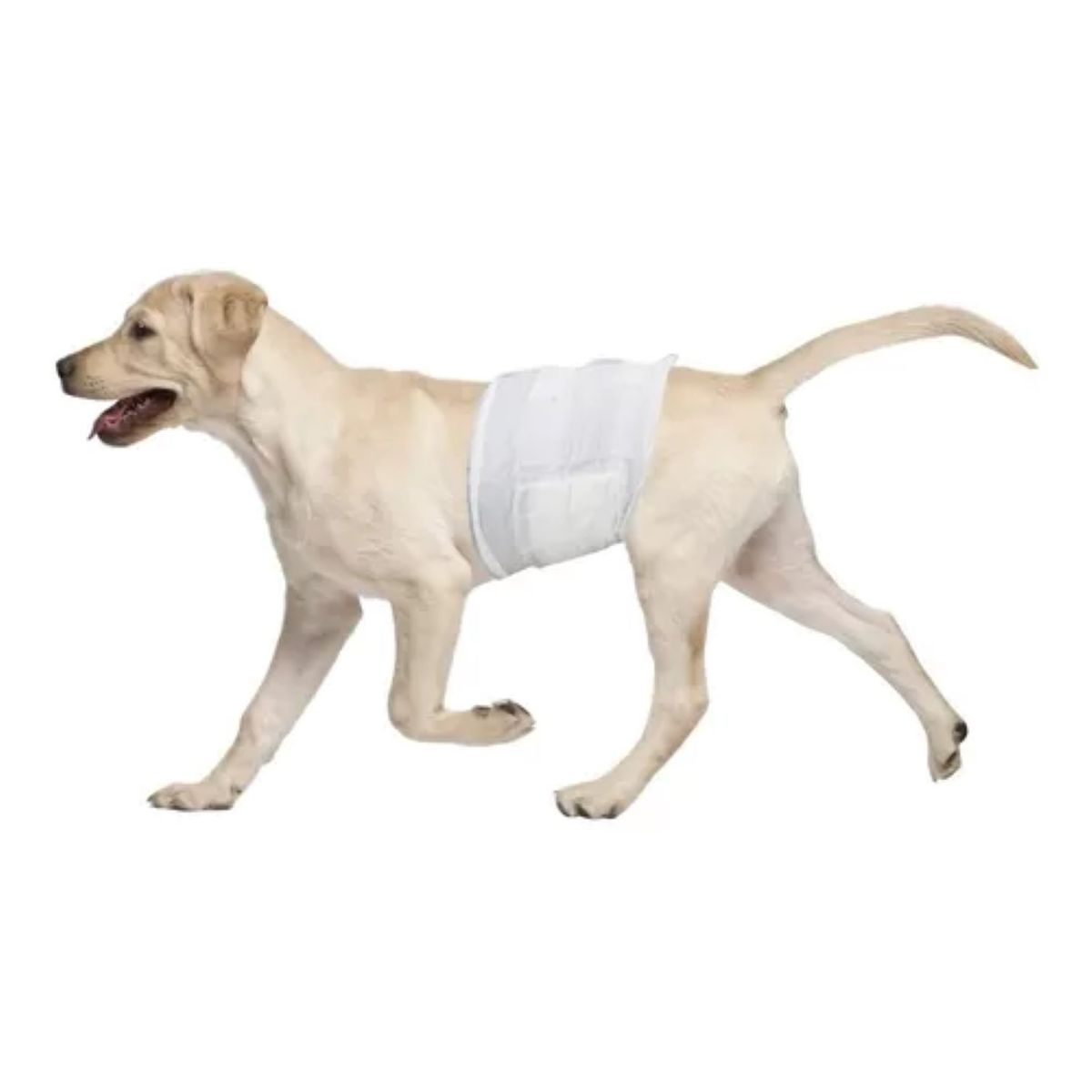 METALFER - Pañal Para Perro Talla XL 12 Und Seco Y Cómodo