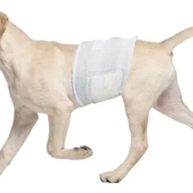 METALFER - Pañal Para Perro Talla XL 12 Und Seco Y Cómodo