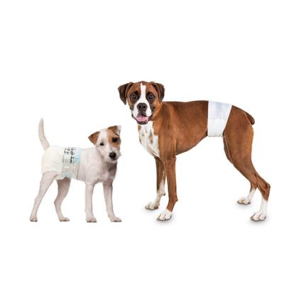 Imagen 2 del producto Pañal Para Perro Talla S 12 Und Seco Y Cómodo