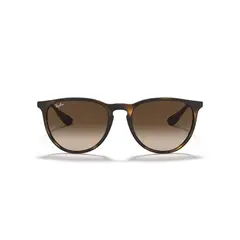 RAY BAN - Lentes de Sol Erika Havana Ray-Ban