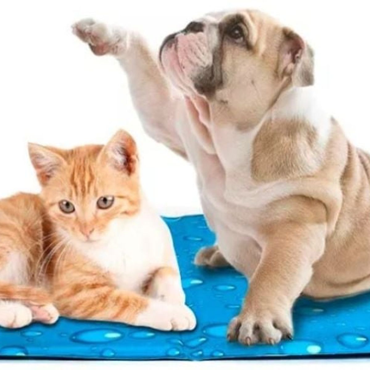 GENERICO - Manta Gel frio Refrescante para Perros Talla MD