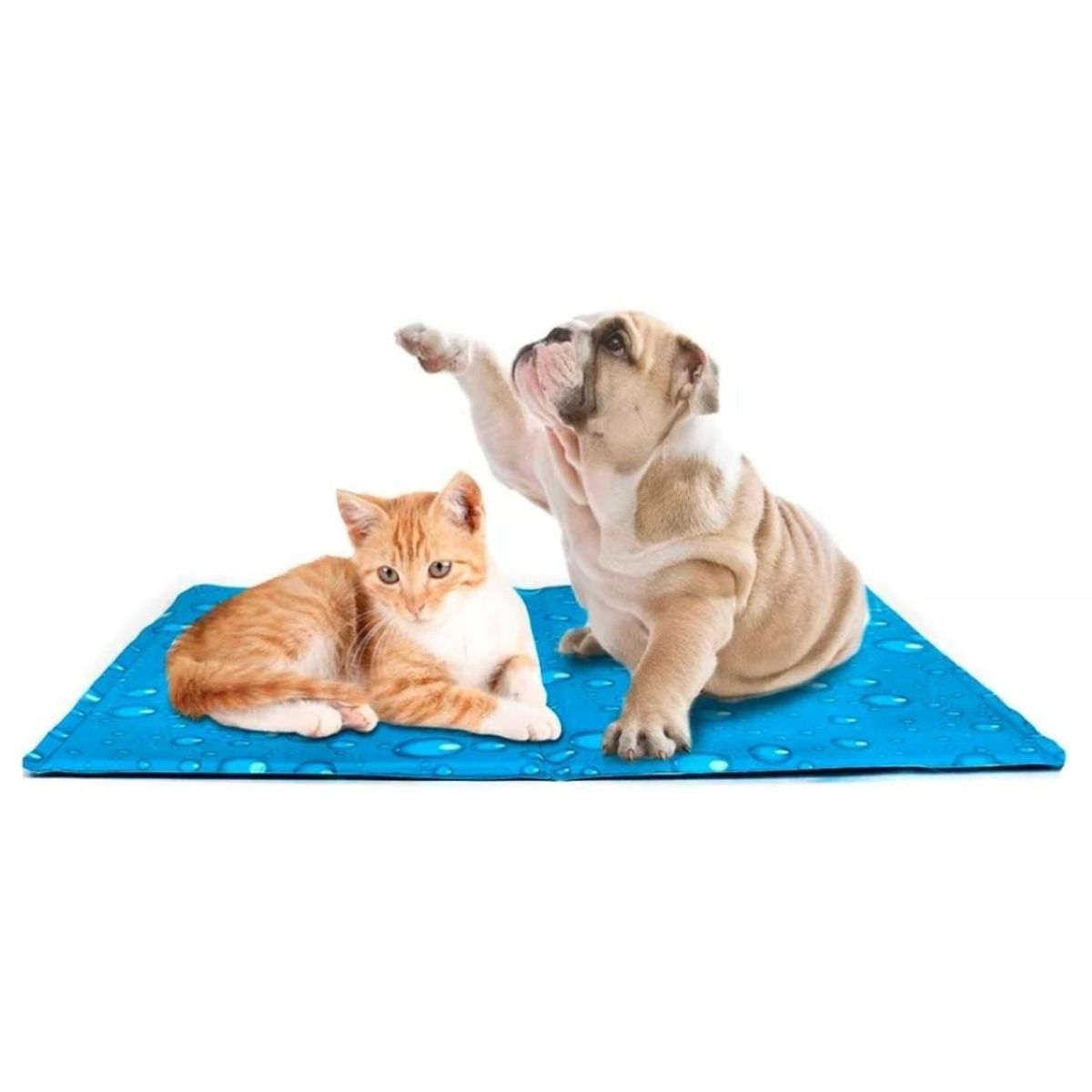 GENERICO - Manta Gel frio Refrescante para Perros Talla MD