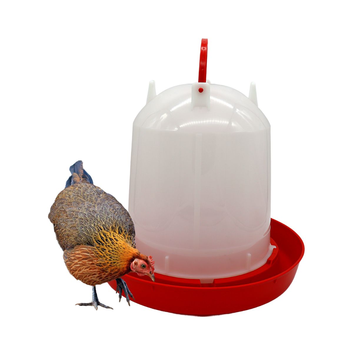 GENERICO - Bebedero Granja 3L Pajareras Gallinas Pollos Aves