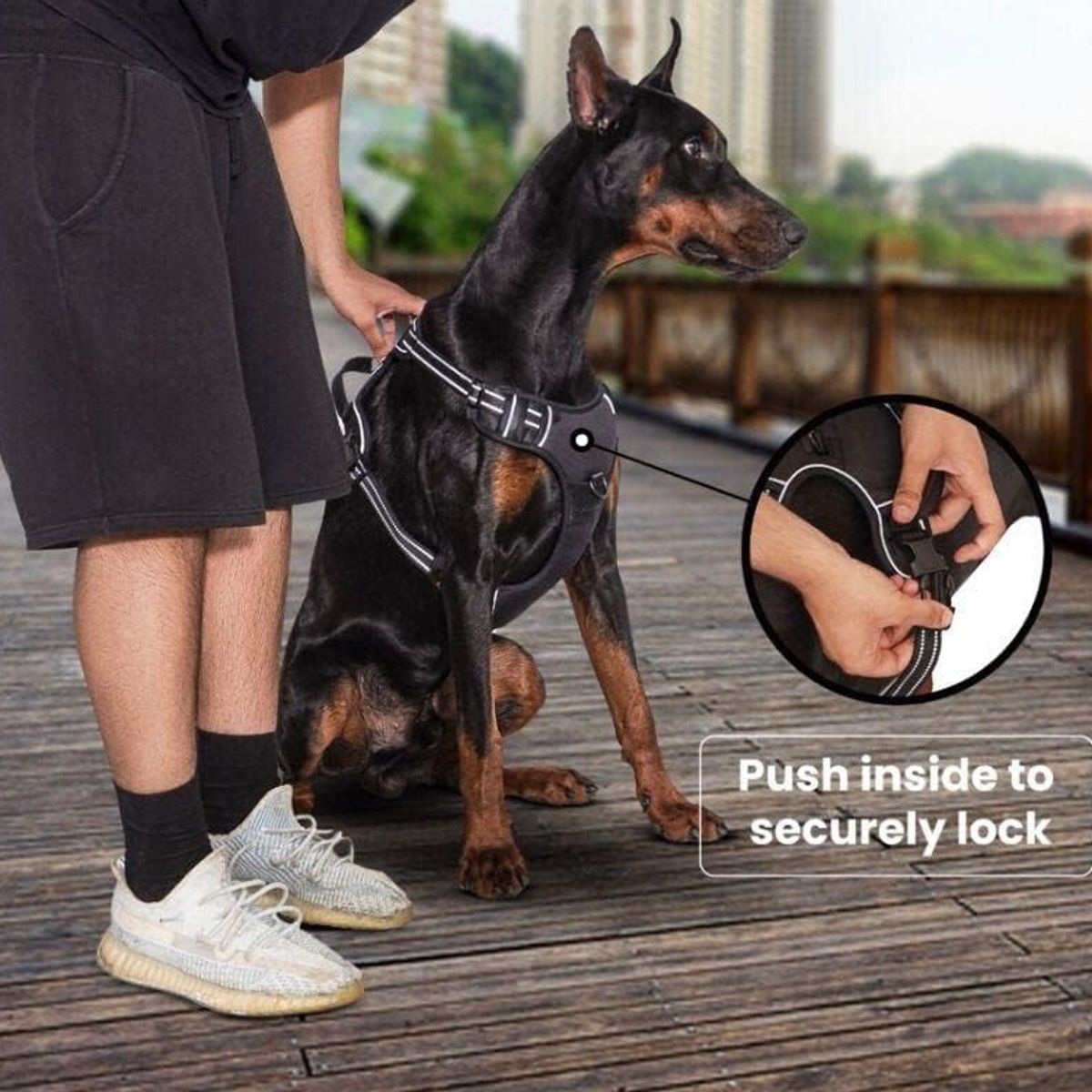 TATEE - Arnés Para Perros Pequeños Talla S Con tiras reflectantes