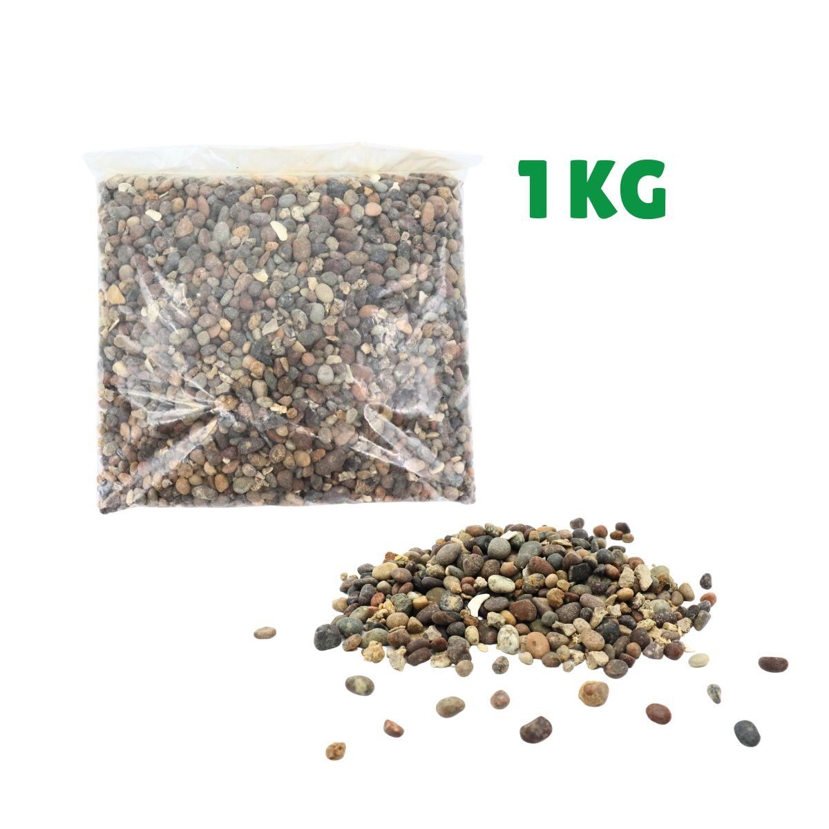 GENERICO - Grava Para Acuarios 1kg Pecera Gravilla Piedras Adorno