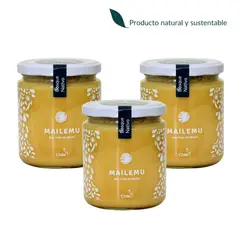 MAILEMU - Pack 3 Miel Pura de Bosque Nativo 550gr