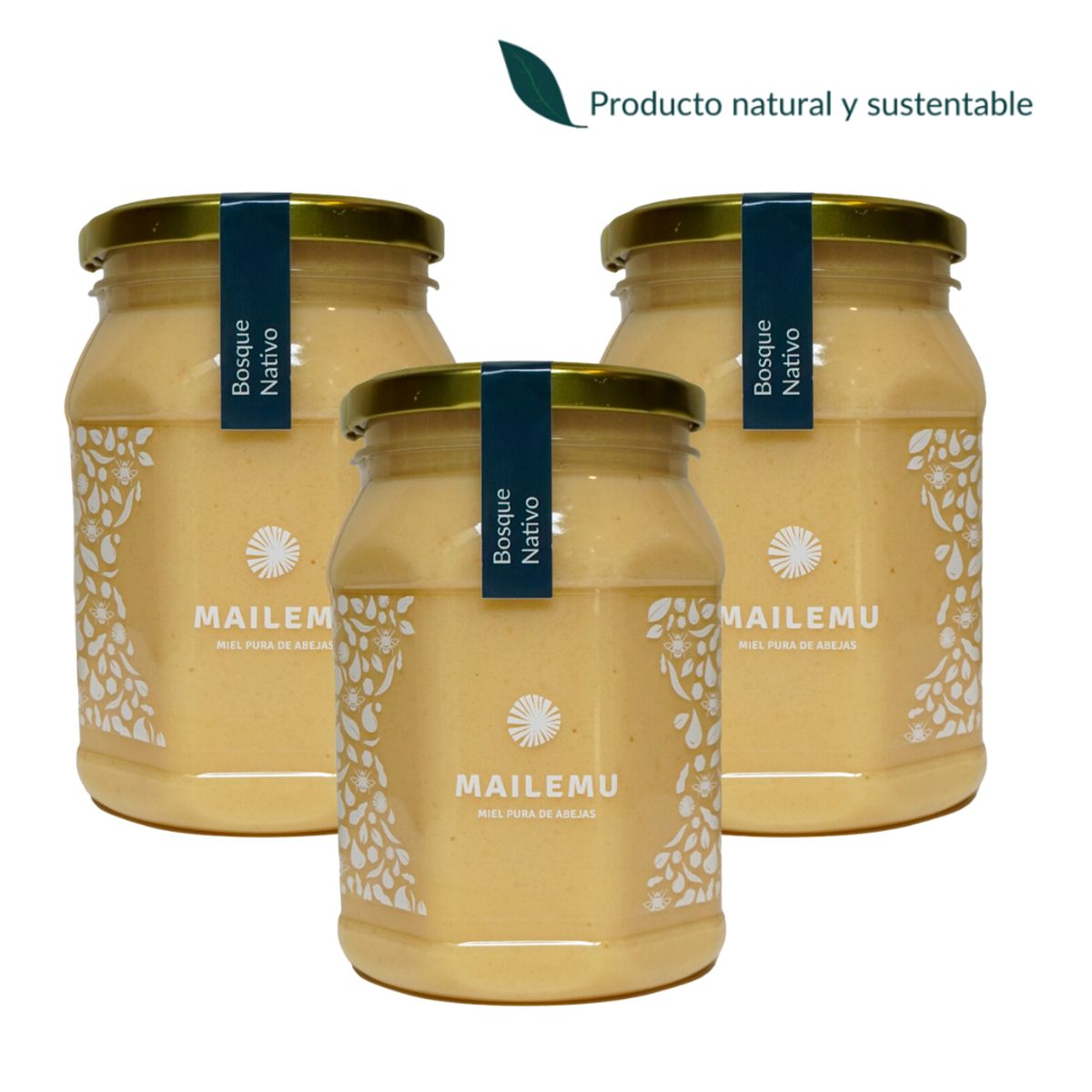 MAILEMU - Pack 3 un. Miel Pura de Bosque Nativo 1kg