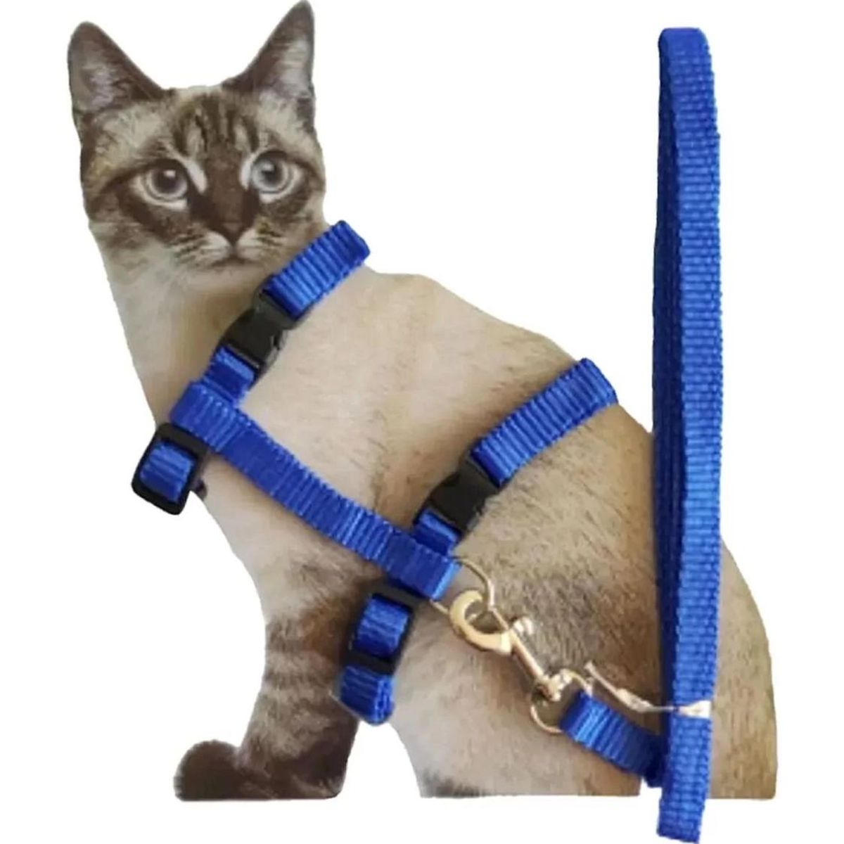 GENERICO - Arnés para gatos ajustable super resistente - Azul - dn