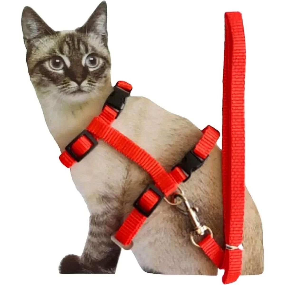 GENERICO - Arnés para gatos ajustable super resistente - Rojo - dn