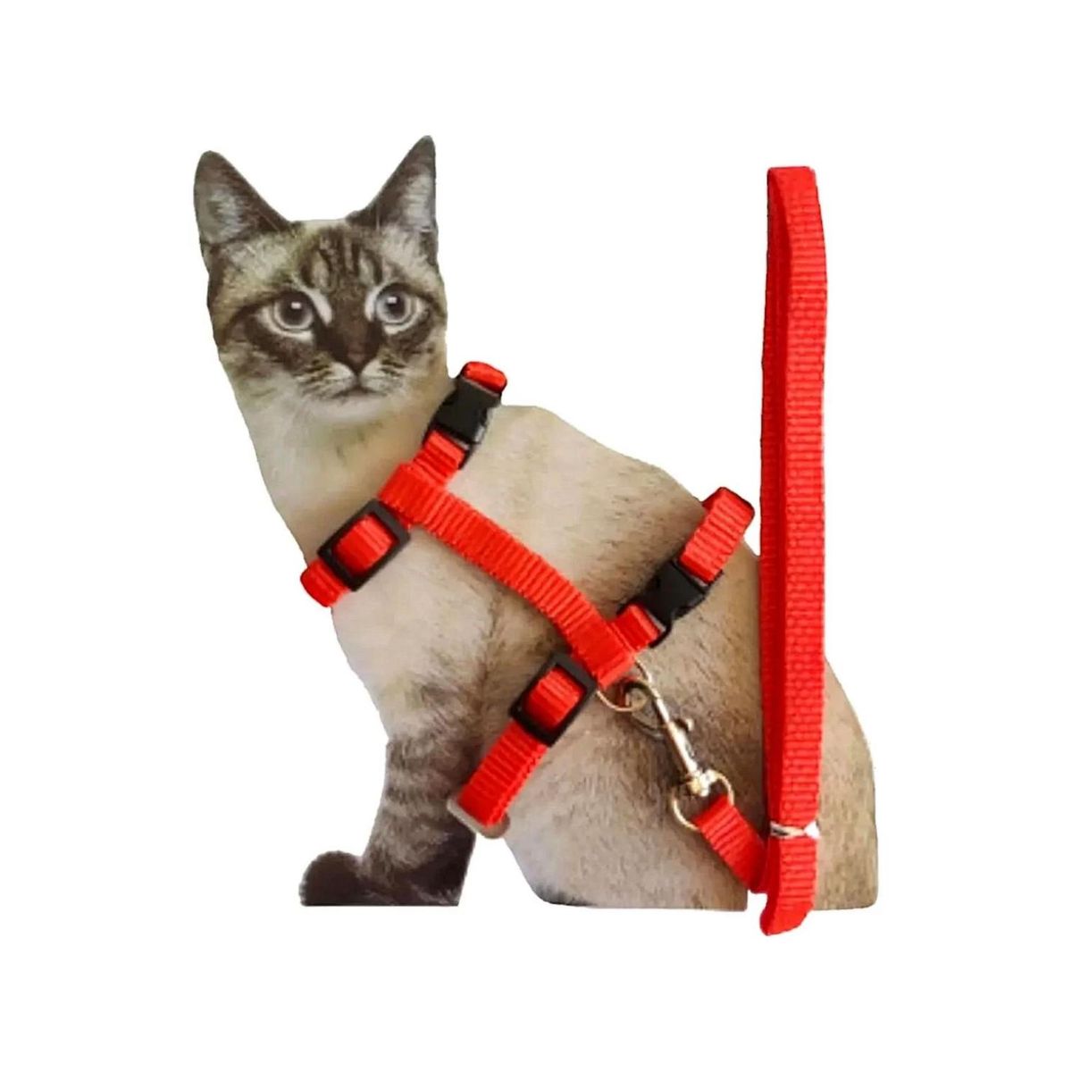 GENERICO - Arnés para gatos ajustable super resistente - Rojo - dn