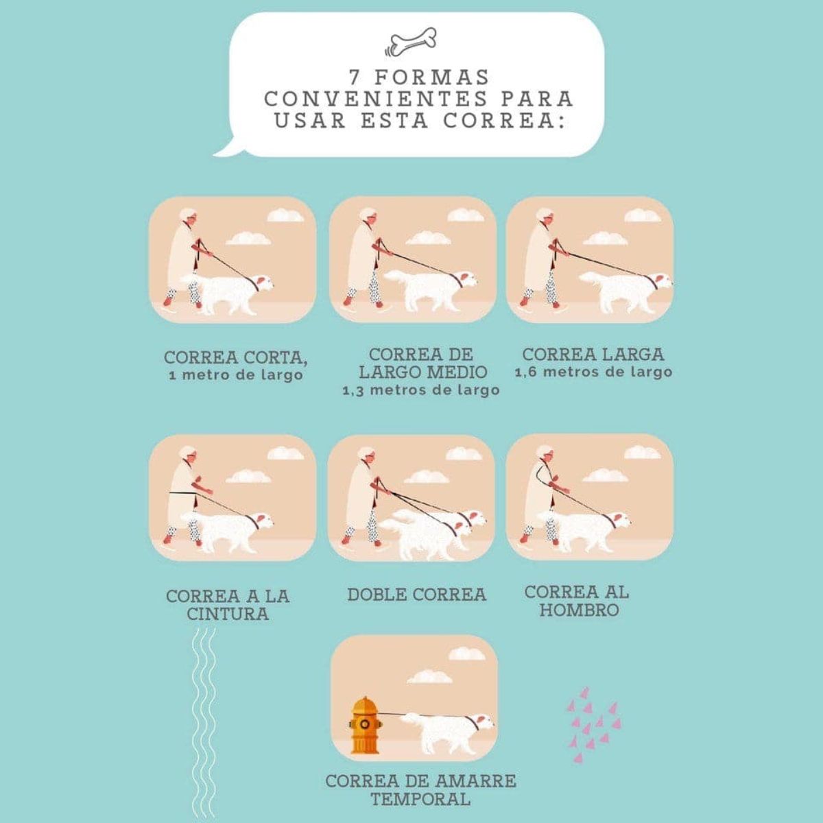 MAX & MOLLY - Correa Perro Multifuncional M Aloha 2cm 2mt Max and Molly