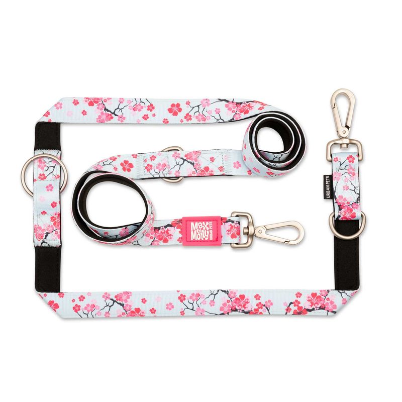 MAX & MOLLY - Correa Perro Multifunción L Cherry Bloom 25cm 2mt Max Molly