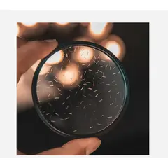 GENERICO - FILTRO ESTRELLA ESPECIAL MULTIPUNTAS 67MM