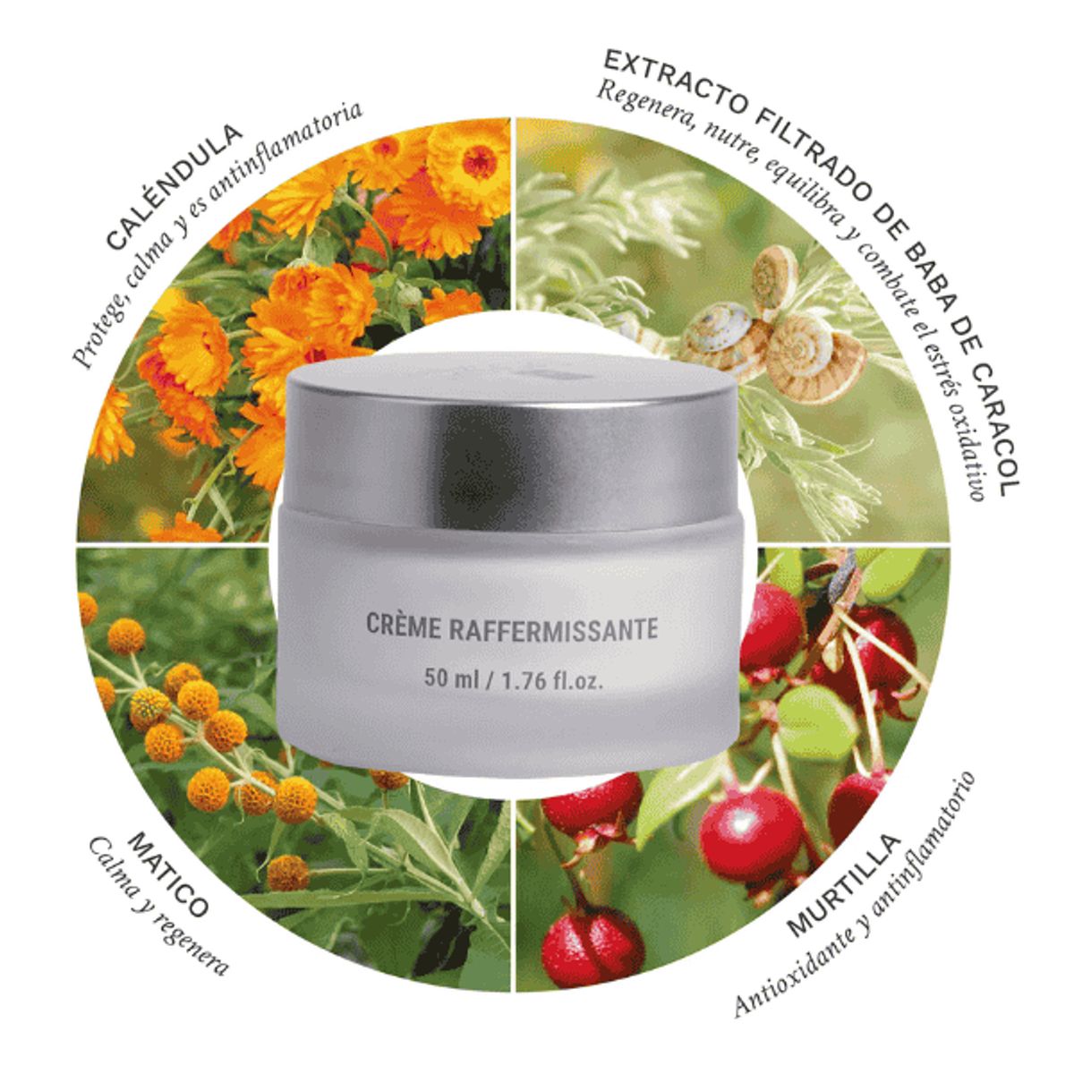 CARACOL NATURAL SKINCARE - Crema Reafirmante