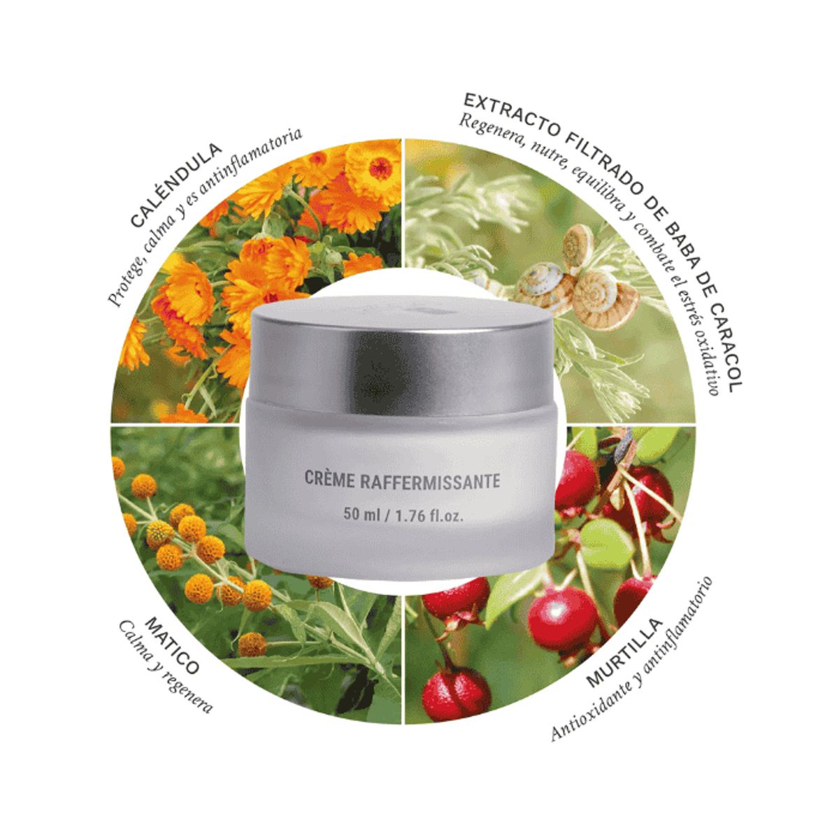 CARACOL NATURAL SKINCARE - Crema Reafirmante