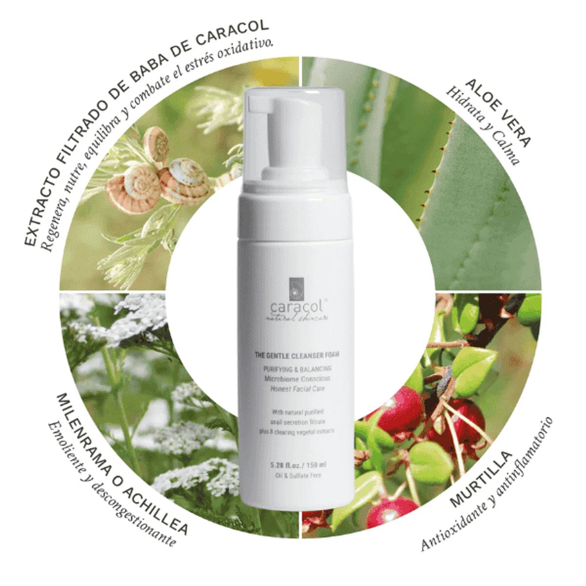 CARACOL NATURAL SKINCARE - Kit Mousse de Limpieza + Tónico de Rostro