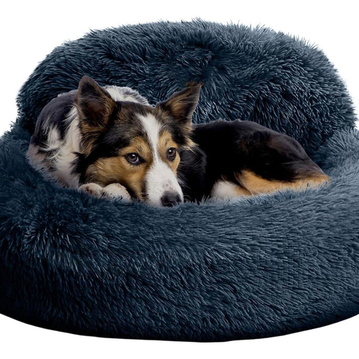 YEP S - Cama Mascota  90 cm Yep Pet Antiestrés Y Ronquido - Azul