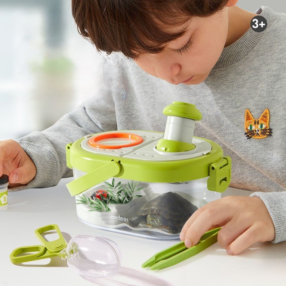 TATEE - Kit caja de observación de insectos Con lupa educativo