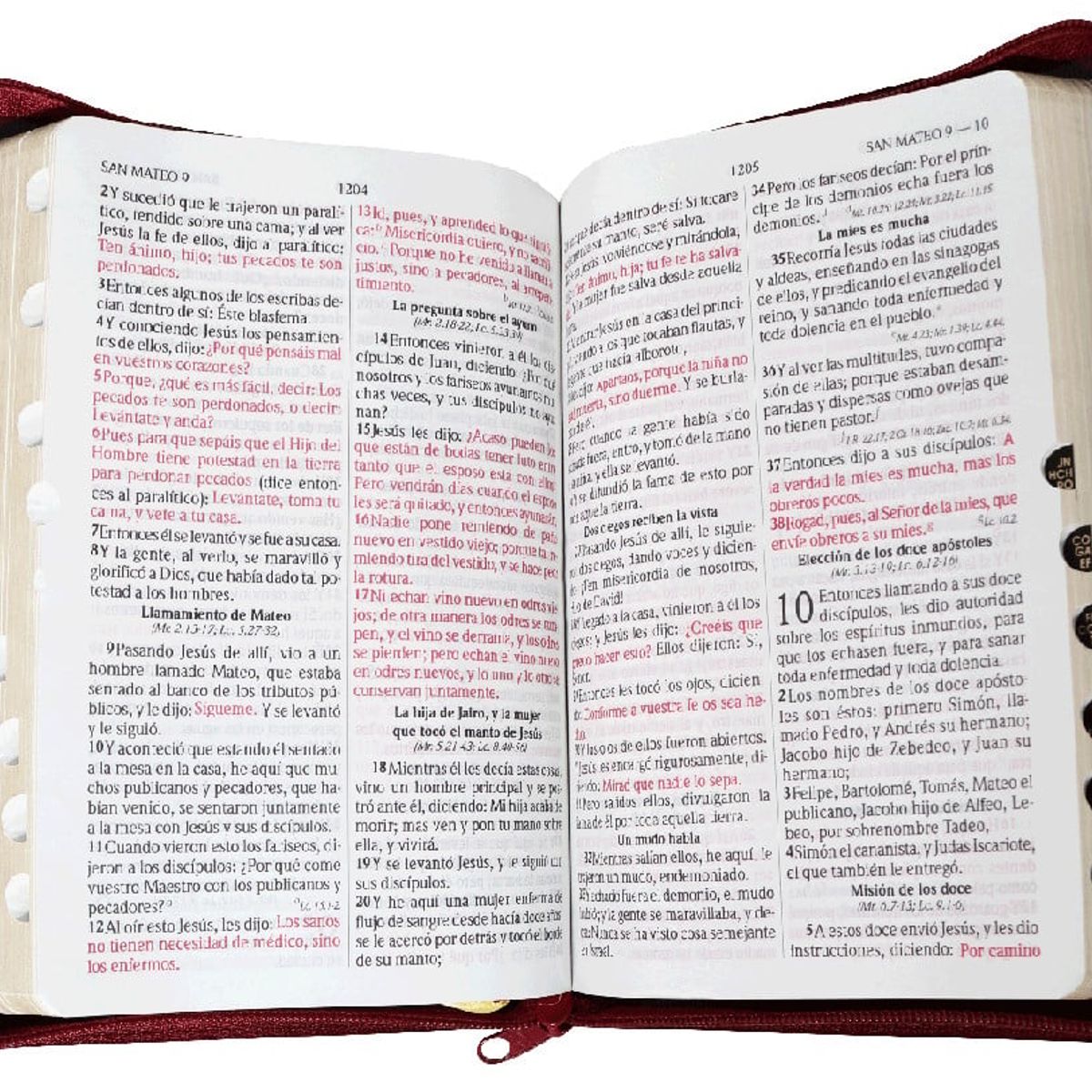 SOCIEDAD BIBLICA DE BRASIL - Biblia Letra Grande Reina Valera 1960 Concordancia Cierre Burdeo