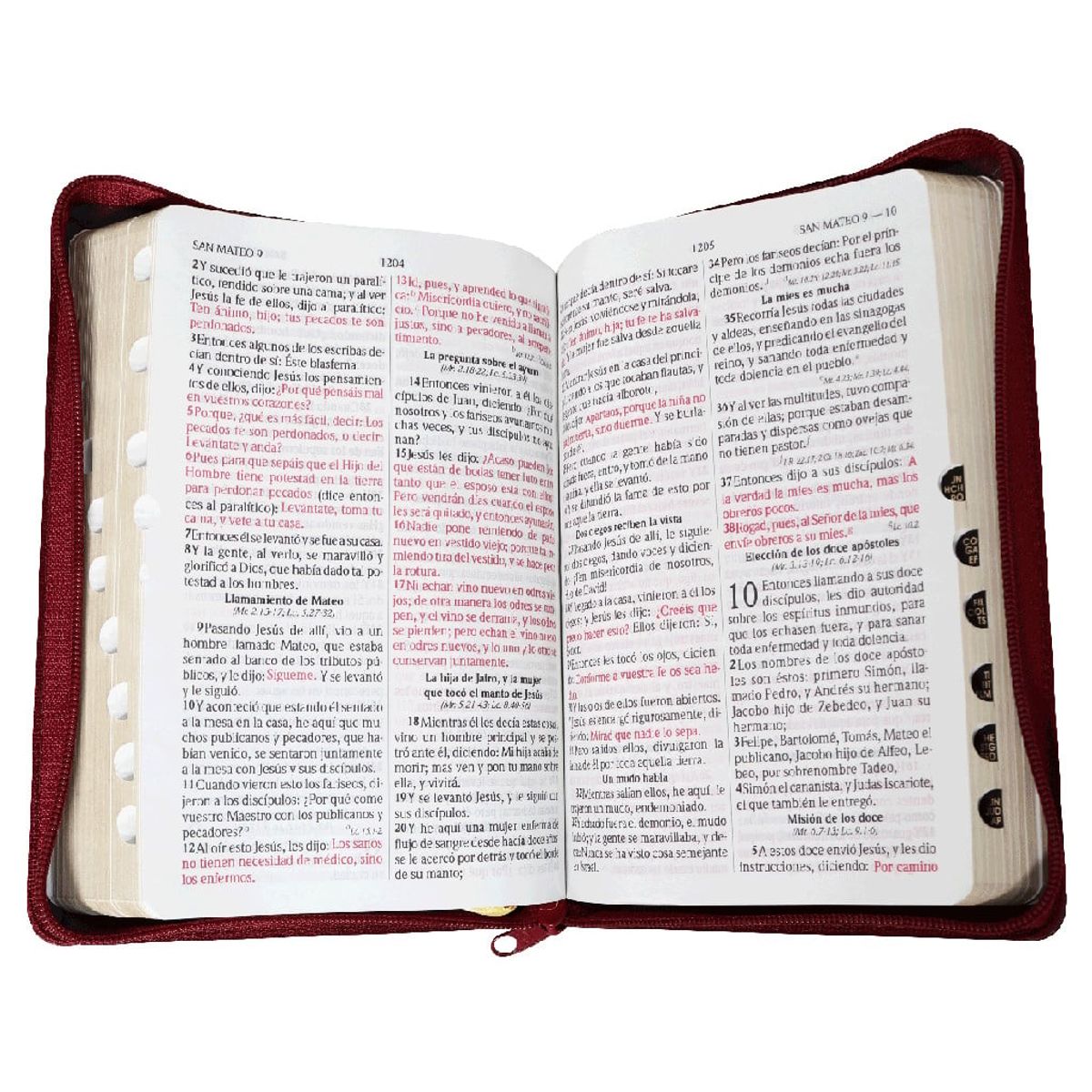 SOCIEDAD BIBLICA DE BRASIL - Biblia Letra Grande Reina Valera 1960 Concordancia Cierre Burdeo