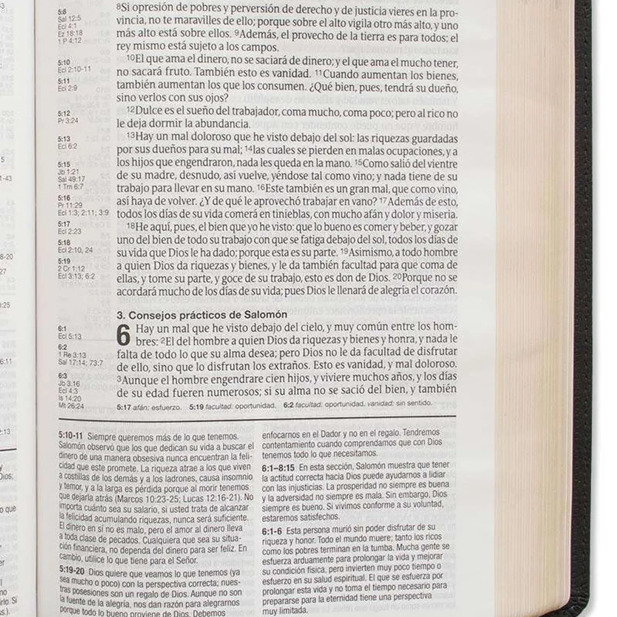 SOCIEDAD BIBLICA CHILENA - Biblia de estudio del diario vivir RVR60, letra grande, SentiPiel, Negro