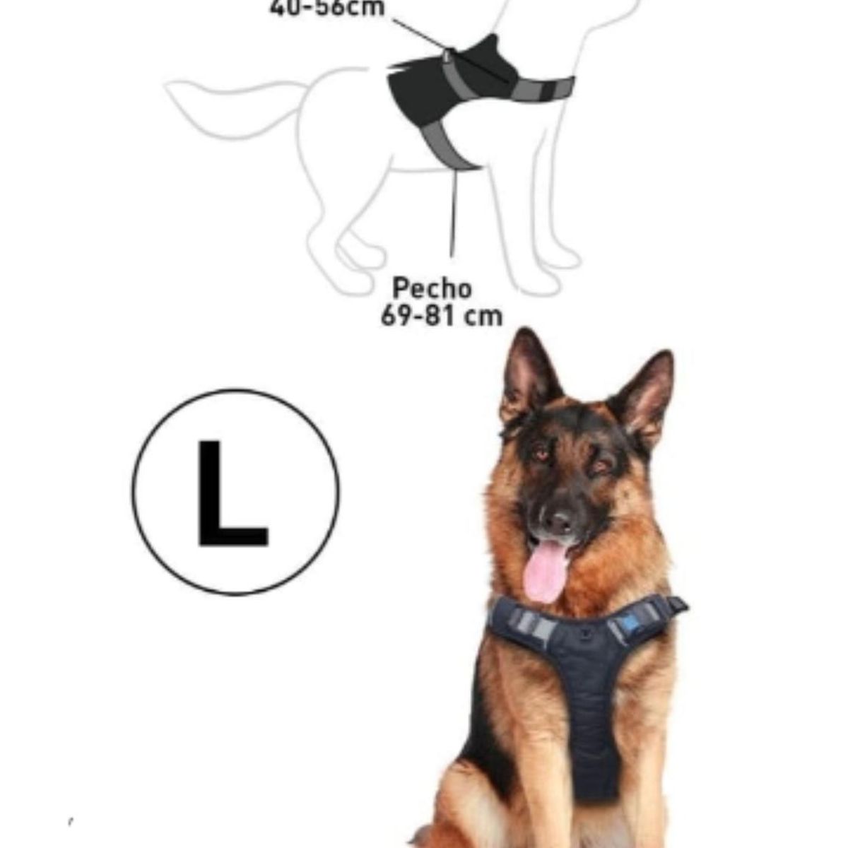 GENERICO - Arnes Pechera Reforzada Para perros Talla L - Celeste - L