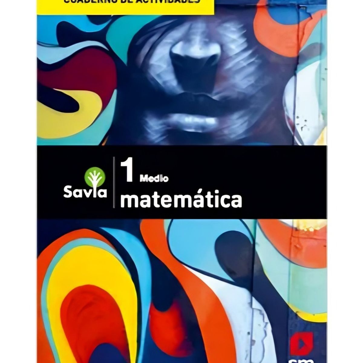TOP10BOOKS - TEXTO Cuaderno De Actividades Matematica 1° Medio Savia - Ediciones SM