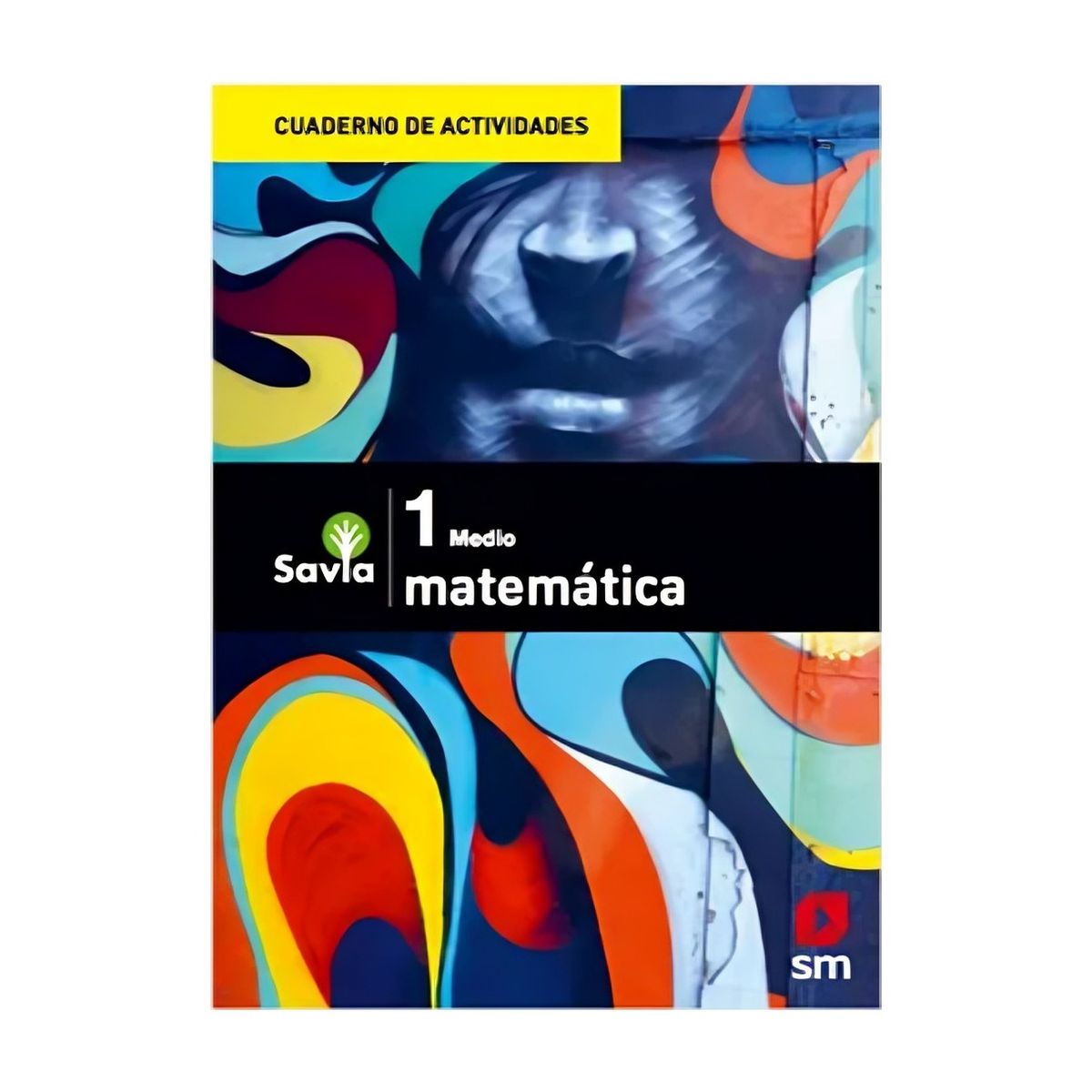 TOP10BOOKS - TEXTO Cuaderno De Actividades Matematica 1° Medio Savia - Ediciones SM