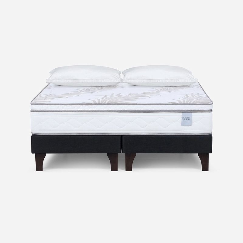 ROSEN - Cama Europea Neo Plus Super King + Almohadas Microfibra Feel