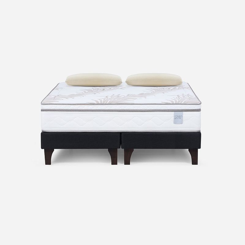 ROSEN - Cama Neo Plus 2 Plazas 150x200 cm + Almohadas Esencial