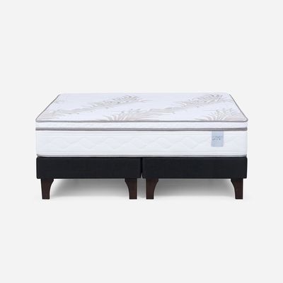 Imagen 2 del producto Cama Europea Neo Plus King + Almohadas Microfibra Feel