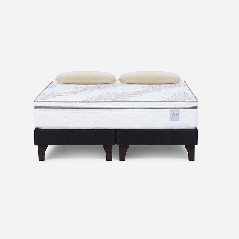 ROSEN - Cama Europea Neo Plus King 180x200 cm + Almohadas Esencial