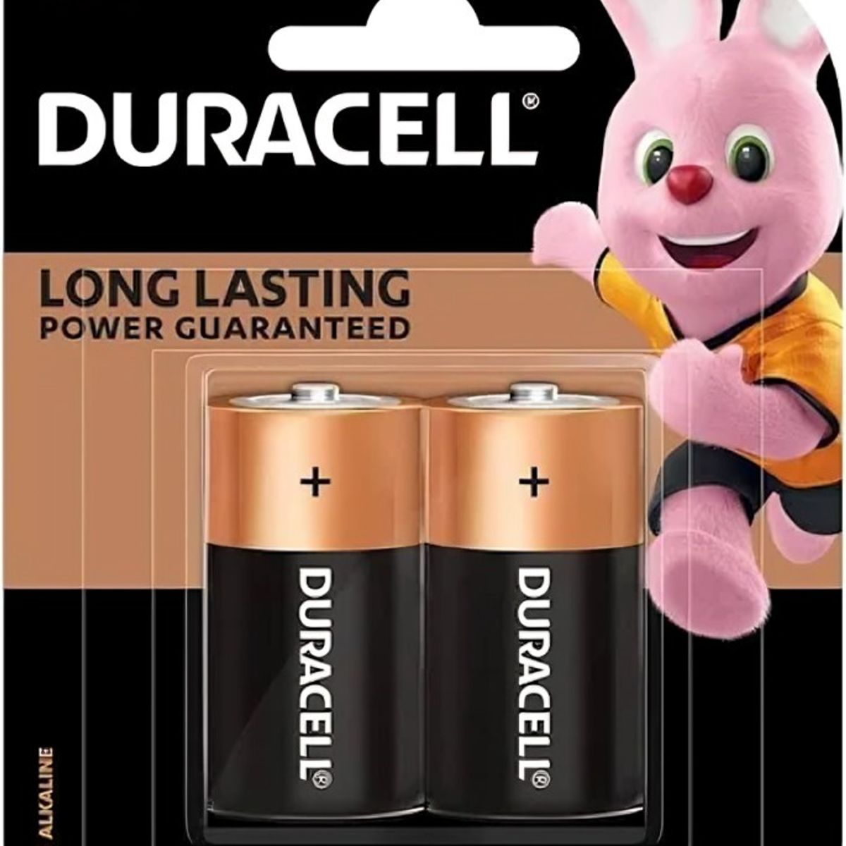 DURACELL - PILA ALCALINA DURACEL II C x 2