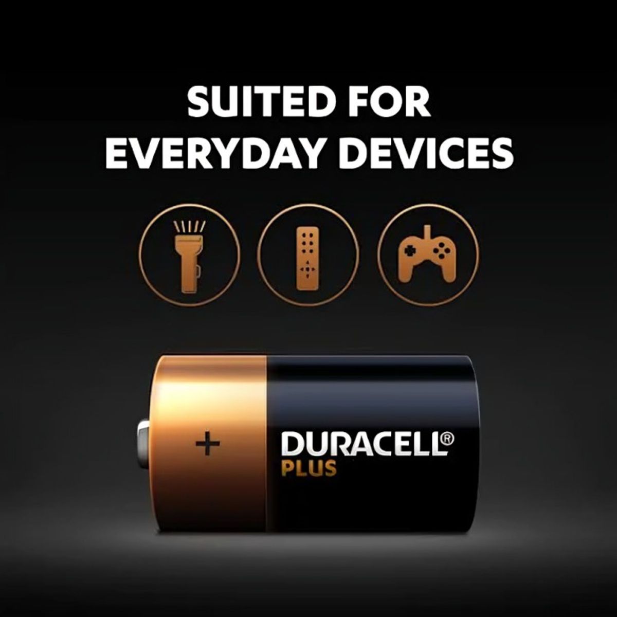 DURACELL - PILA ALCALINA DURACEL II C x 2