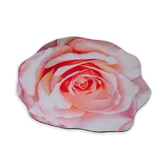 CHINITOWN - Salida de Ducha Flor 07 Chinitown.