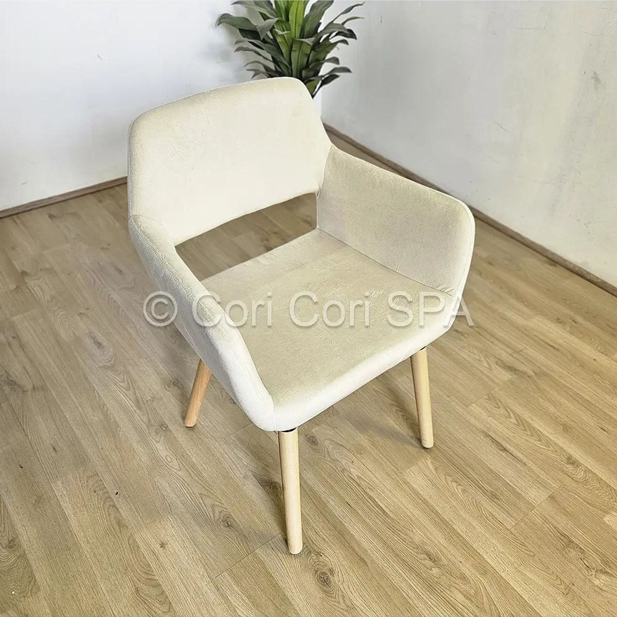 CORI CORI - Sitial Boston Felpa Beige