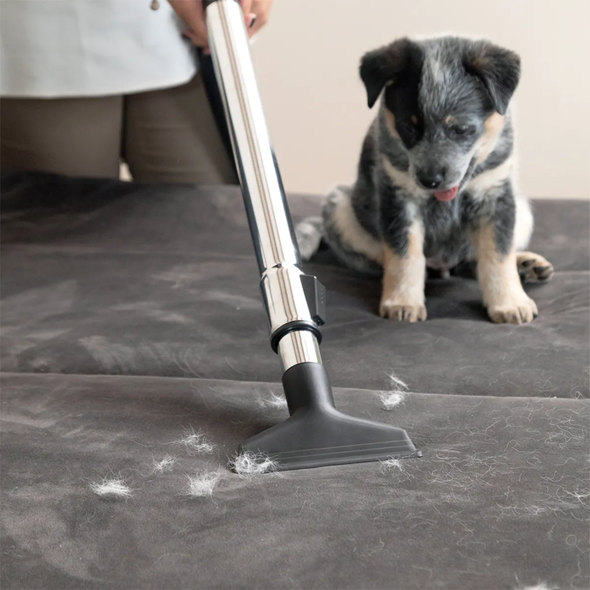 KARCHER - Aspiradora Karcher VCL 3 Ciclonica